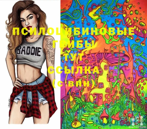 стаф Костерёво