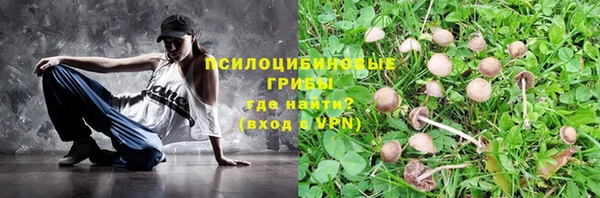 стаф Костерёво