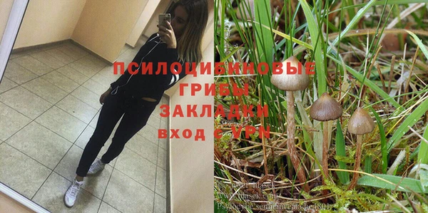 стаф Костерёво