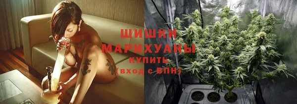стаф Костерёво